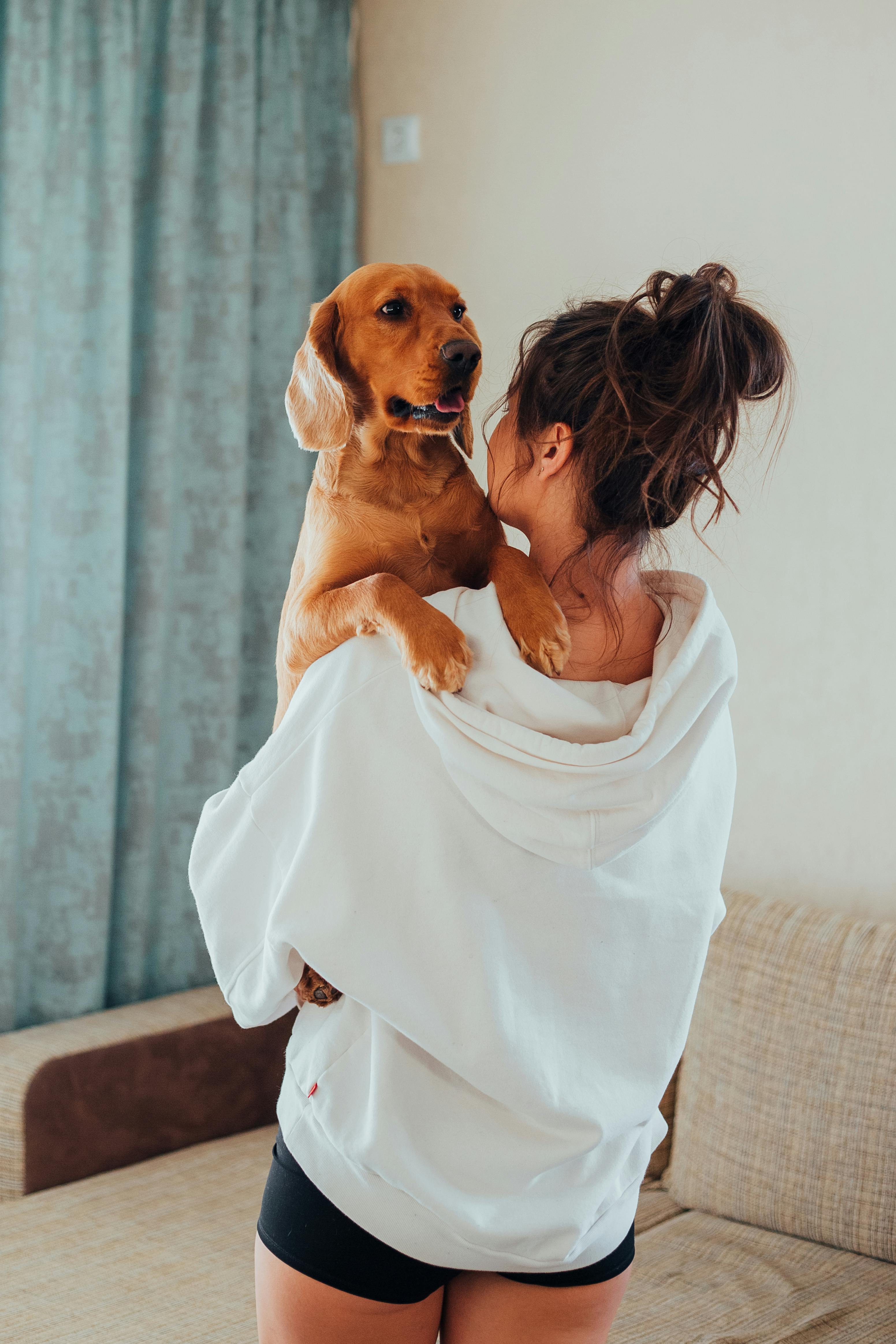 Perro bien cuidado en hogar familiar durante la recuperación de su dueña
